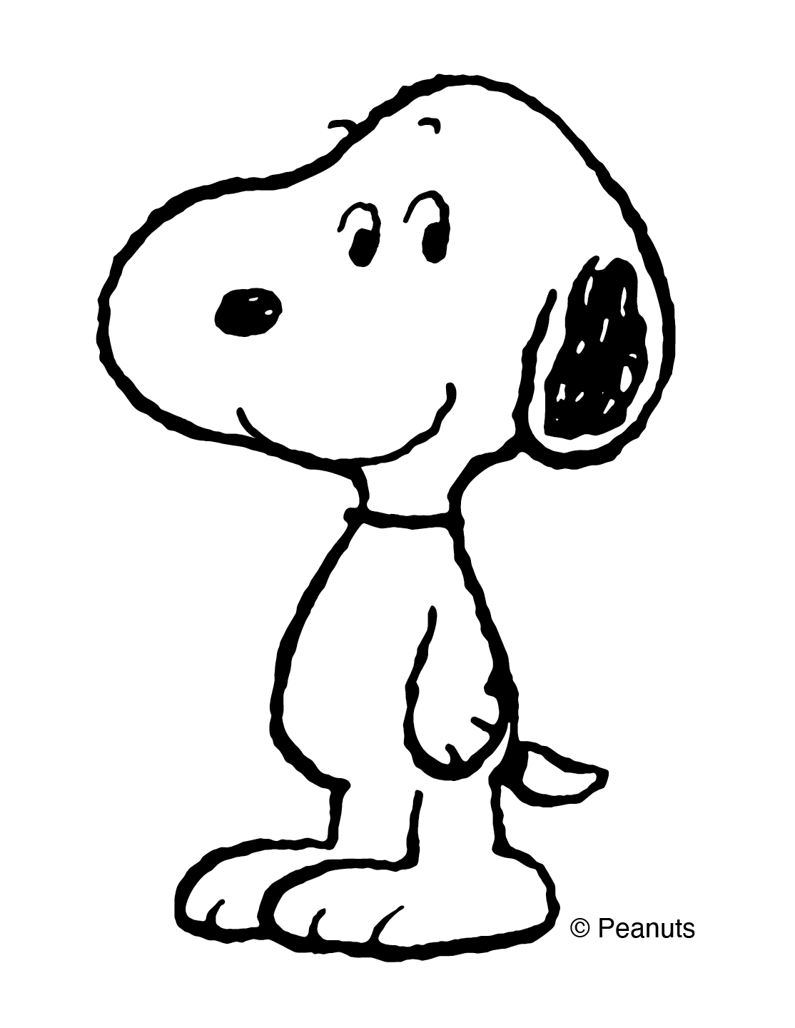 A black and white dog, standing on its back legs, smiling at the viewer.